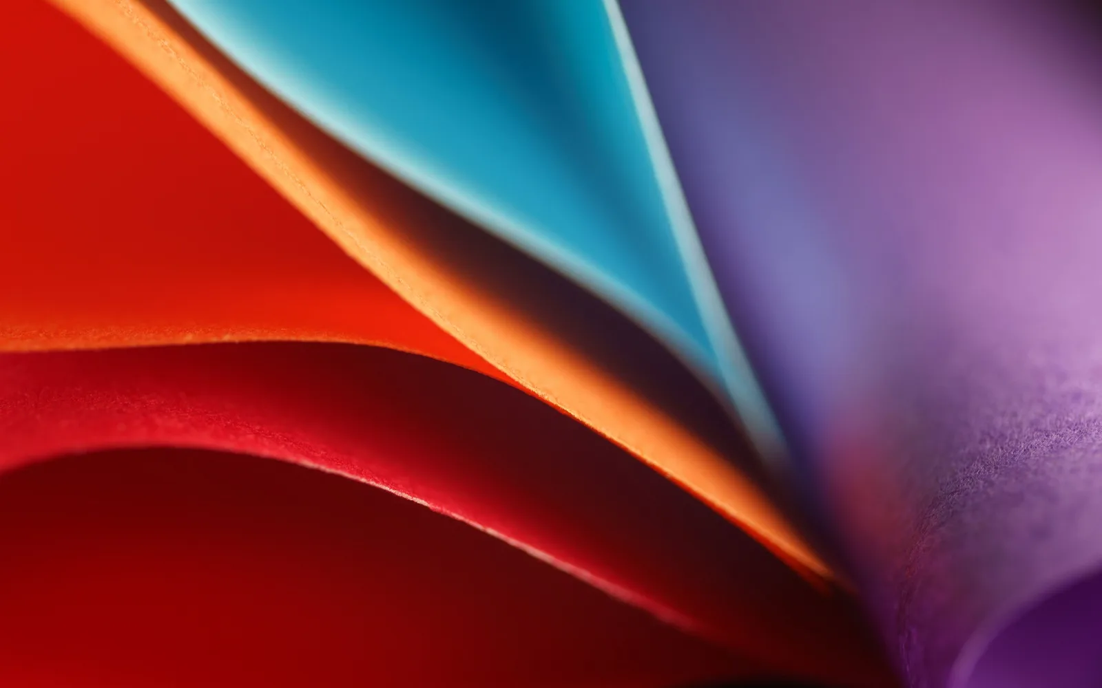 Sheets of coloured paper fanned so each one shows only its curved edge — shipped in colour, ungraded.